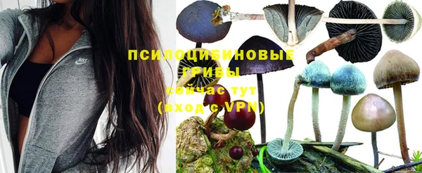 мяу мяу кристалл Покачи