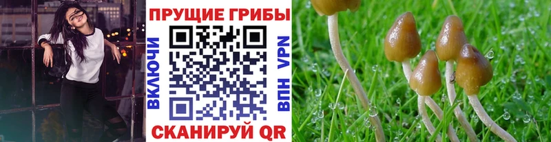 Псилоцибиновые грибы прущие грибы  МЕГА вход  Балахна  где купить  